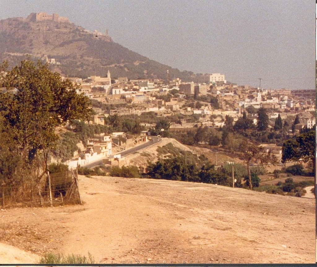 1988 ECKMUHL RUE REINE ASTRID DERRIERE LA CLINIQUE ET LE RAVIN RAZ EL AIN.jpg